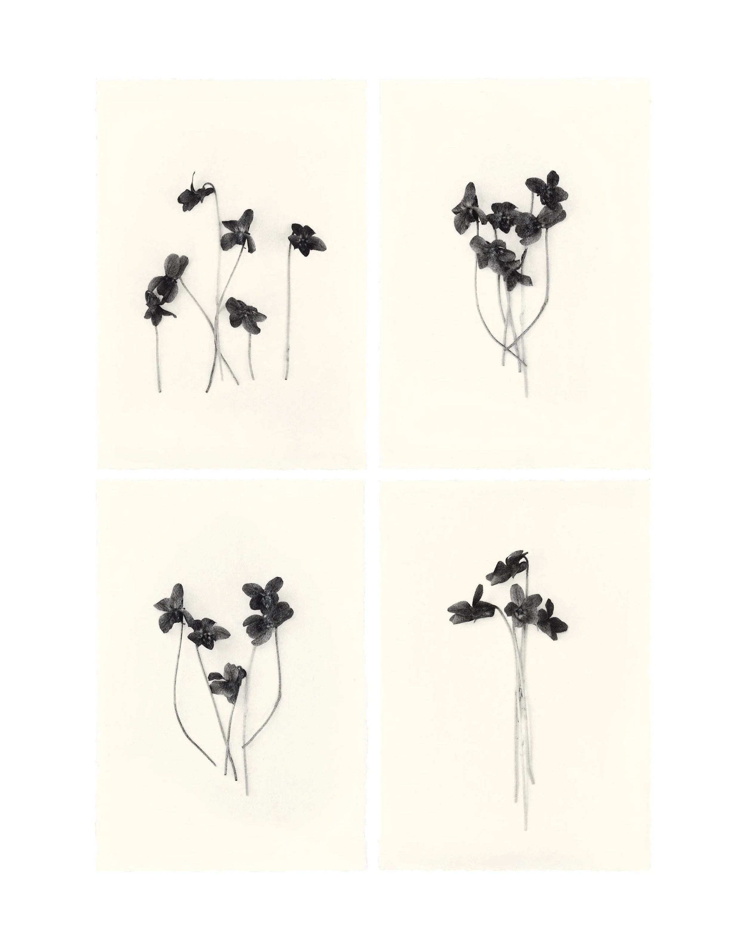 Exhibition] Sachiko Morita / Time in Air, Time in Paper — POST